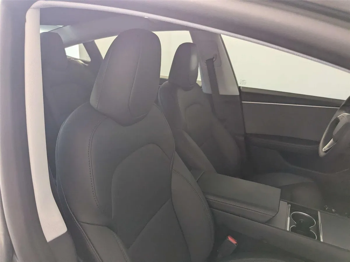 2025 TESLA MODEL 3 thumbnail 31