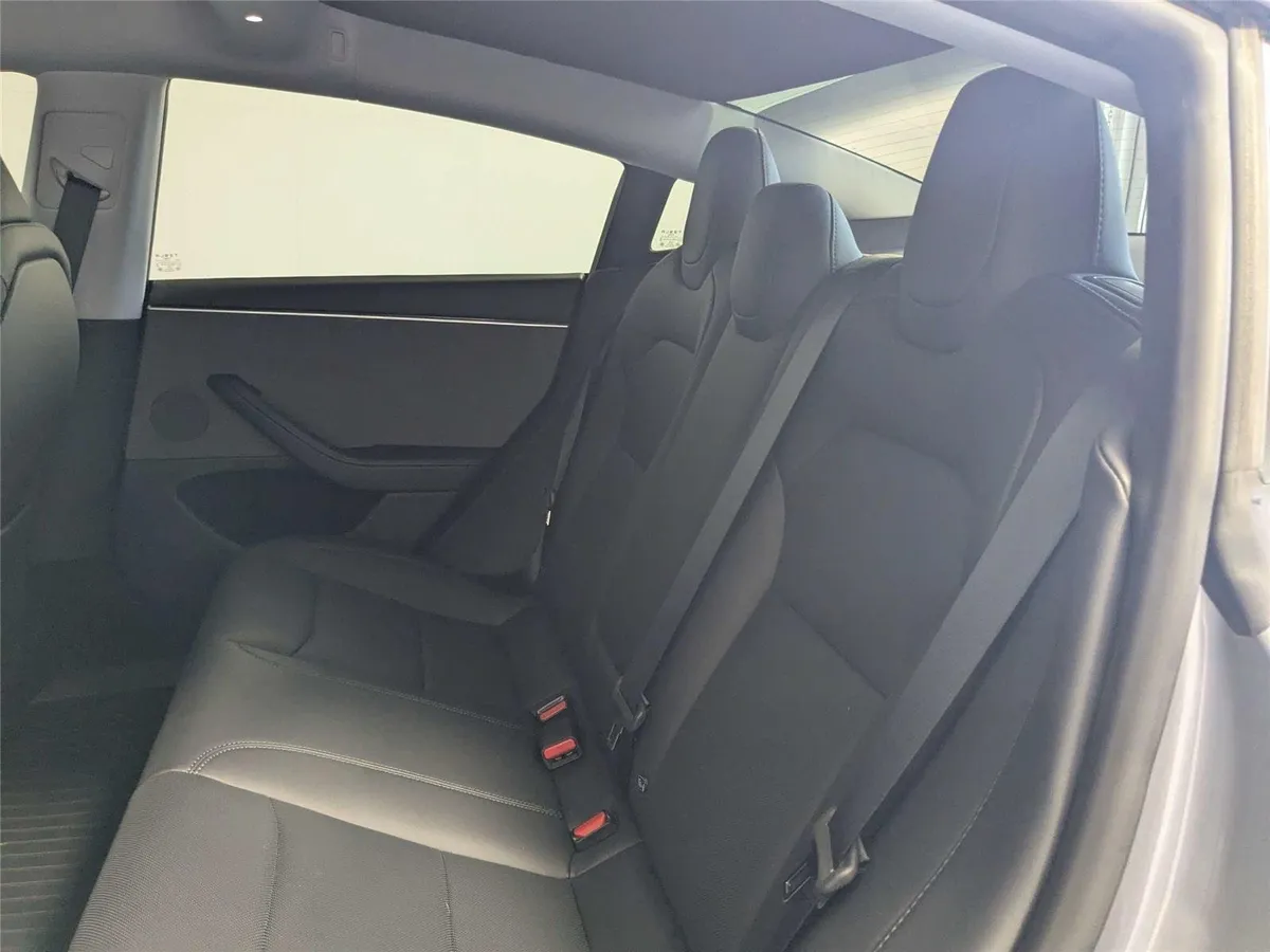 2025 TESLA MODEL 3 thumbnail 32