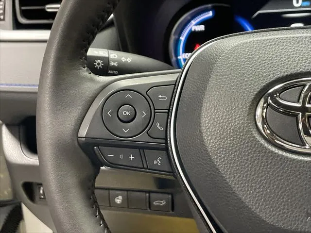 2025 Toyota RAV4 HYBRID thumbnail 18