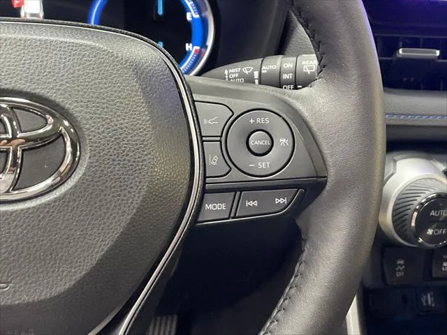 2025 Toyota RAV4 HYBRID thumbnail 19