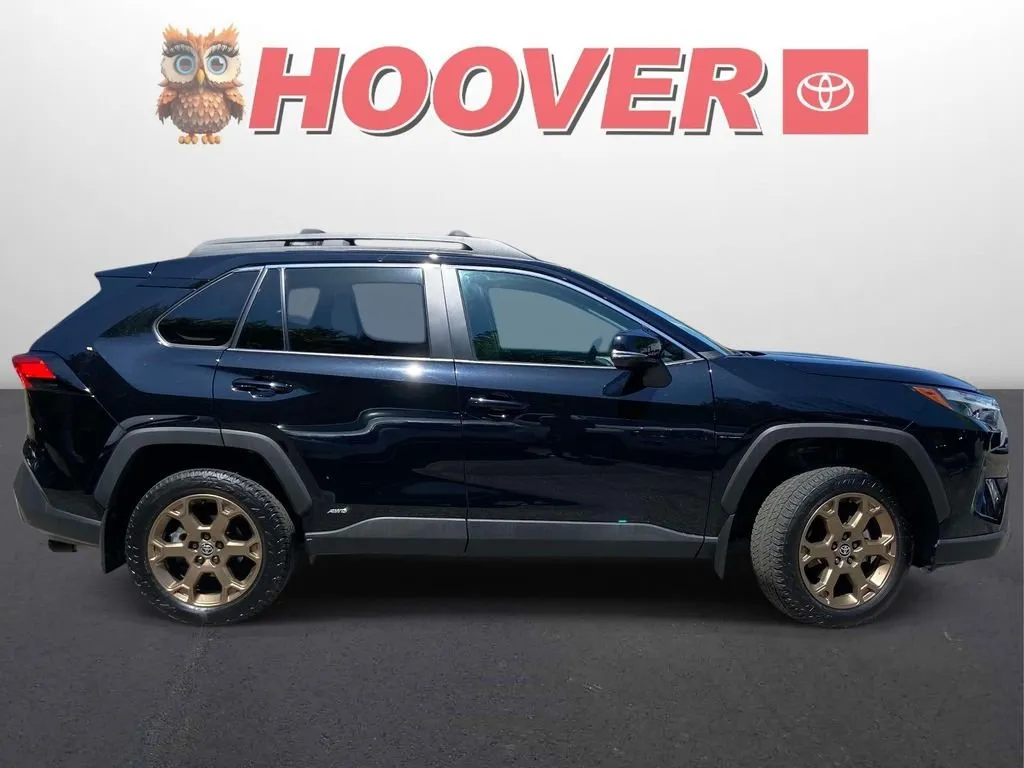 2025 Toyota RAV4 Hybrid Woodland Edition thumbnail 2