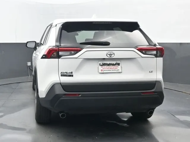 2025 Toyota RAV4 LE thumbnail 17