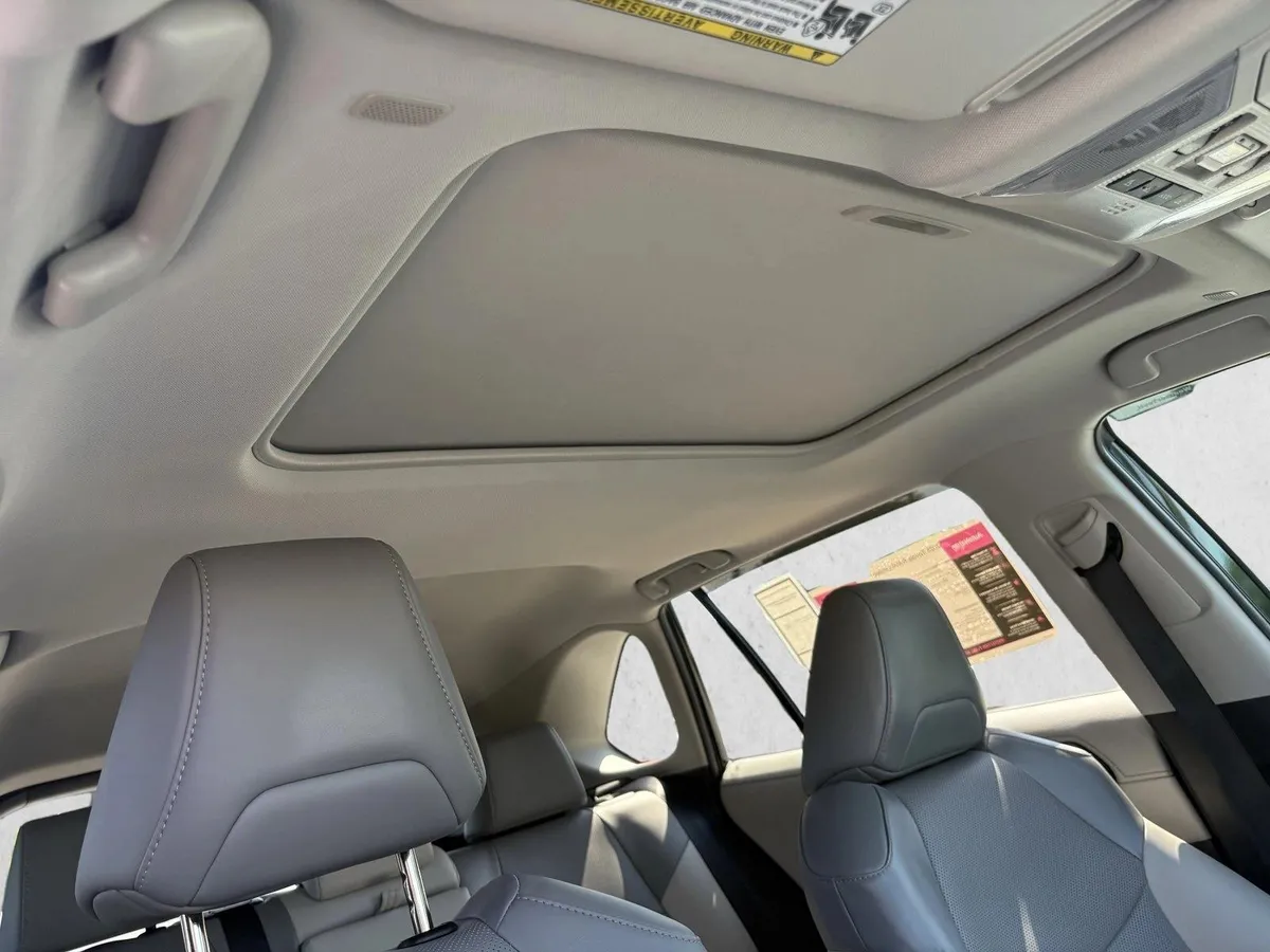 2025 Toyota RAV4 Limited thumbnail 24