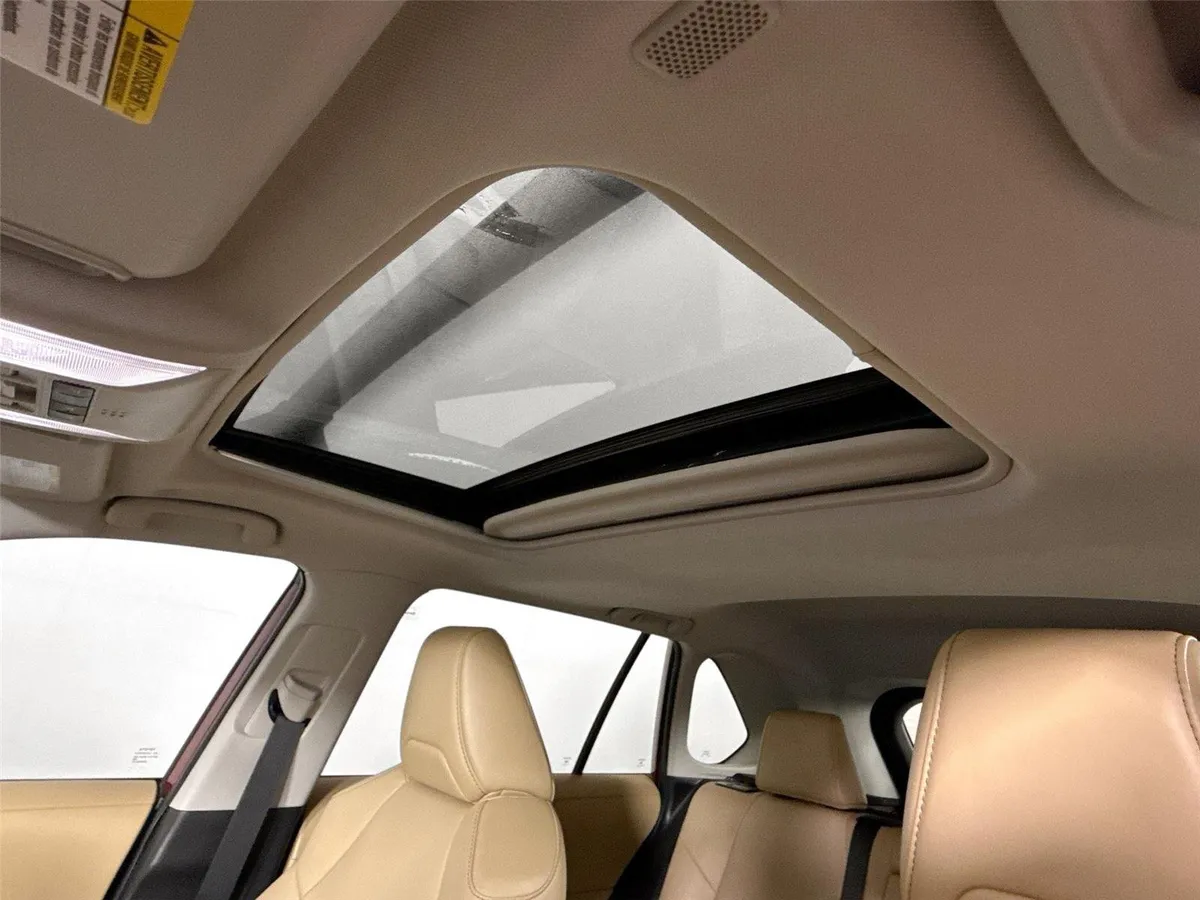 2025 Toyota RAV4 XLE Premium thumbnail 6