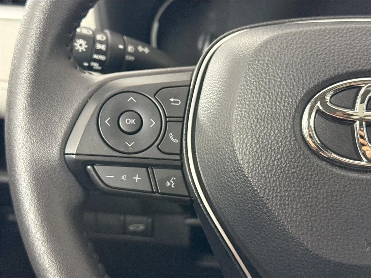 2025 Toyota RAV4 XLE Premium thumbnail 17