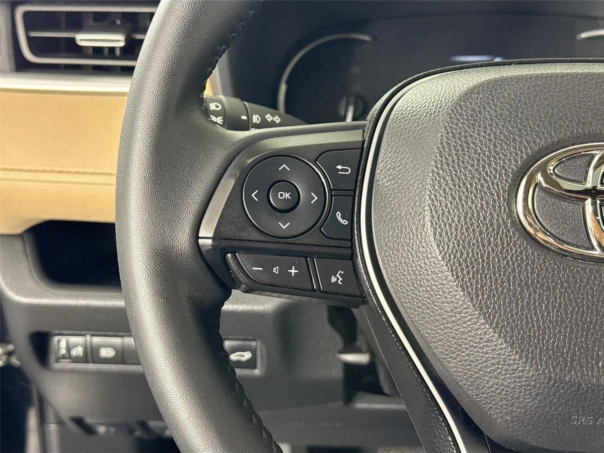2025 Toyota RAV4 XLE Premium thumbnail 17