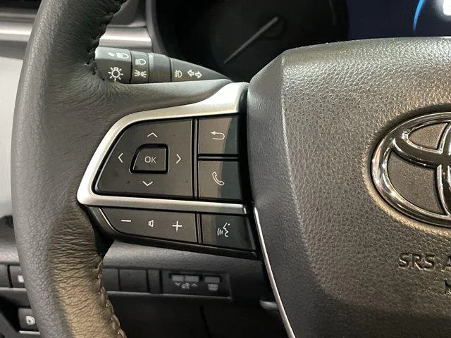 2025 Toyota SIENNA XLE thumbnail 19