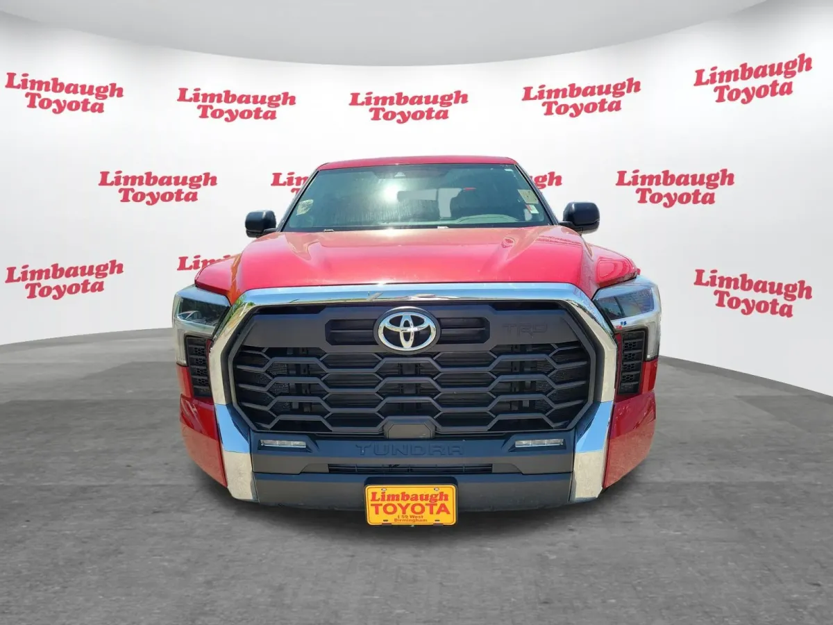 2025 Toyota Tundra SR5 thumbnail 20