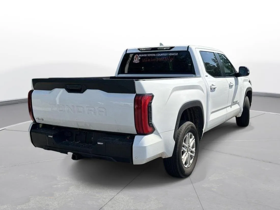 2025 Toyota Tundra SR5 thumbnail 6